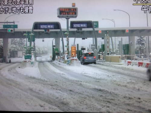 日本多地遭遇暴风雪交通运输受影响（图）