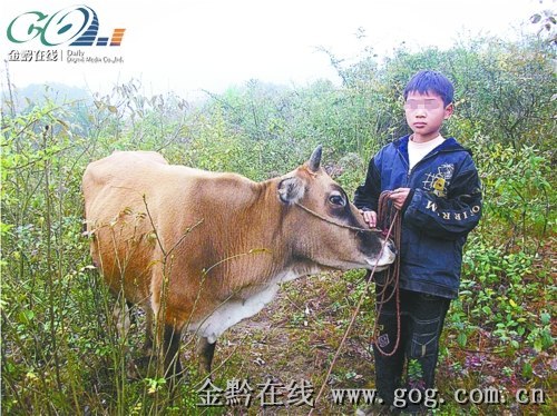 10岁男孩靠吃“百家饭”过日子睡村民家牛圈（图）